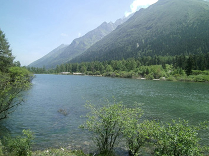 風(fēng)景 風(fēng)景